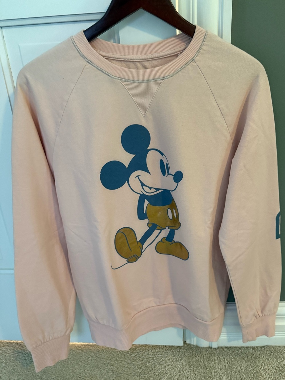 Disney Parks Sweatshirt